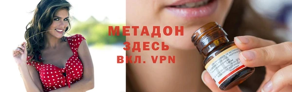 прущие грибы Богданович