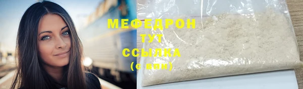 прущие грибы Богданович