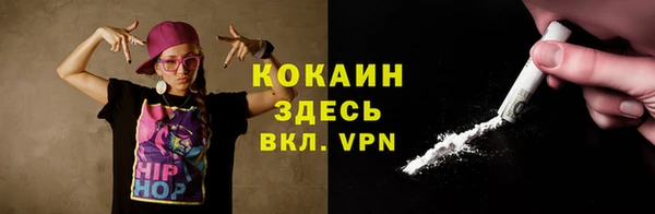 прущие грибы Богданович