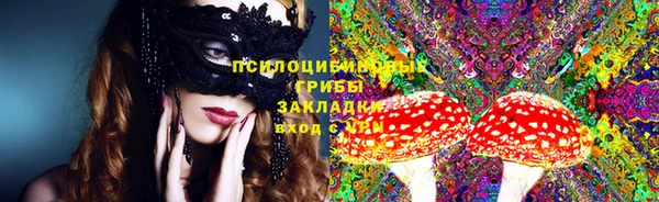 прущие грибы Богданович